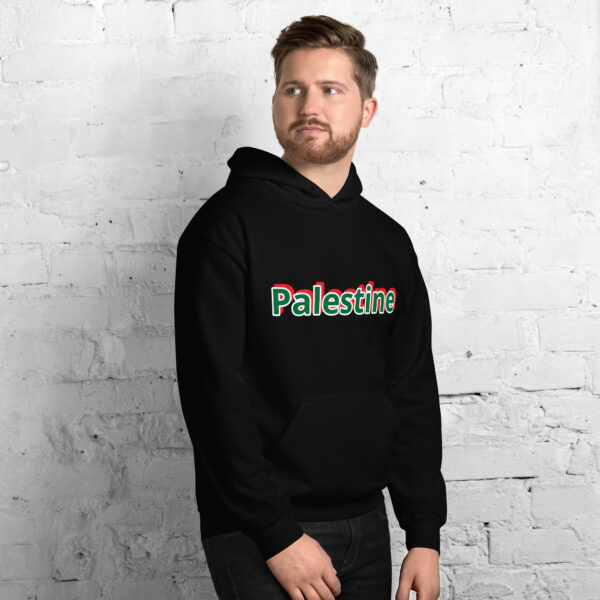 Palestine Unisex Hoodie 2025 Fashion - Image 18