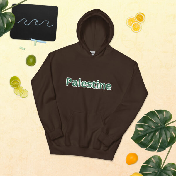 Palestine Unisex Hoodie 2025 Fashion - Image 120