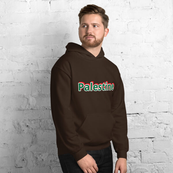 Palestine Unisex Hoodie 2025 Fashion - Image 27