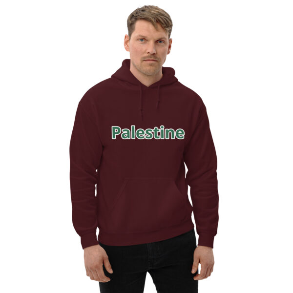 Palestine Unisex Hoodie 2025 Fashion - Image 146