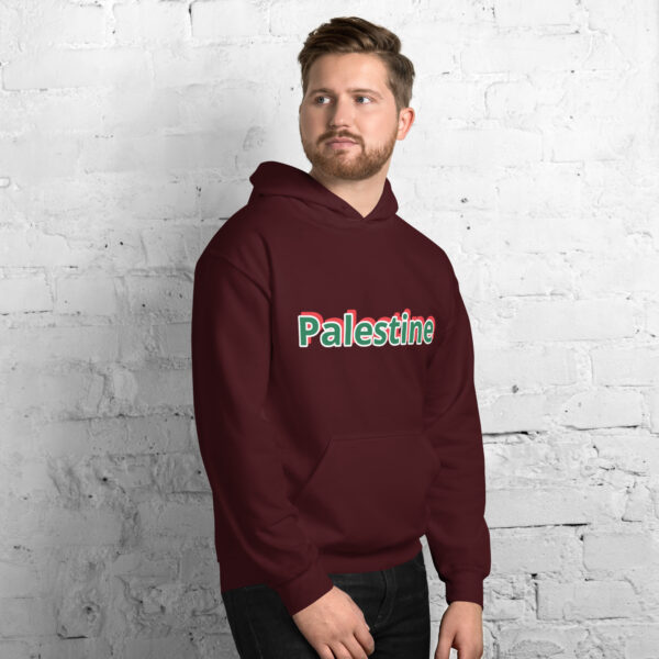 Palestine Unisex Hoodie 2025 Fashion - Image 24