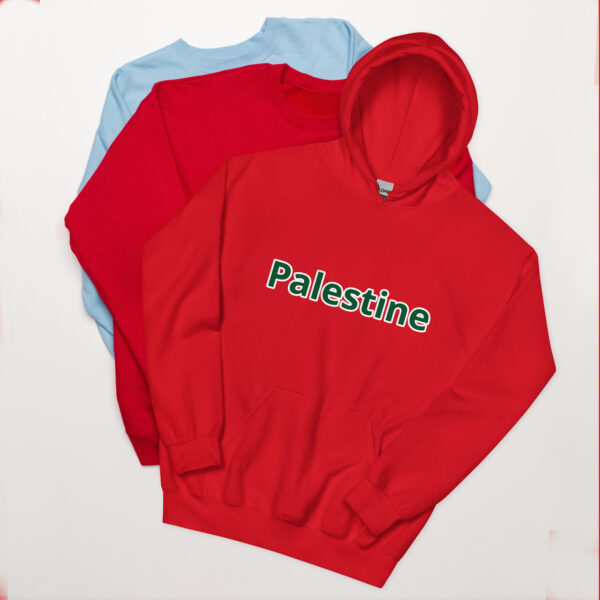 Palestine Unisex Hoodie 2025 Fashion - Image 99