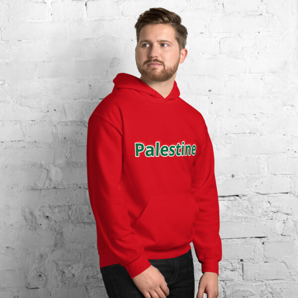 Palestine Unisex Hoodie 2025 Fashion - Image 30