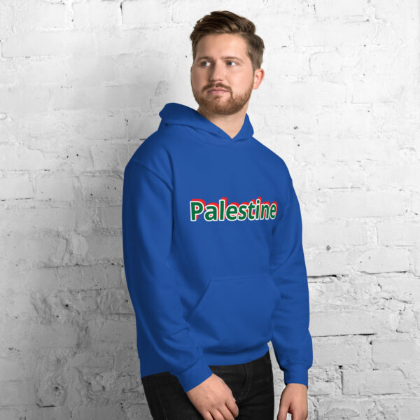 Palestine Unisex Hoodie 2025 Fashion - Image 36